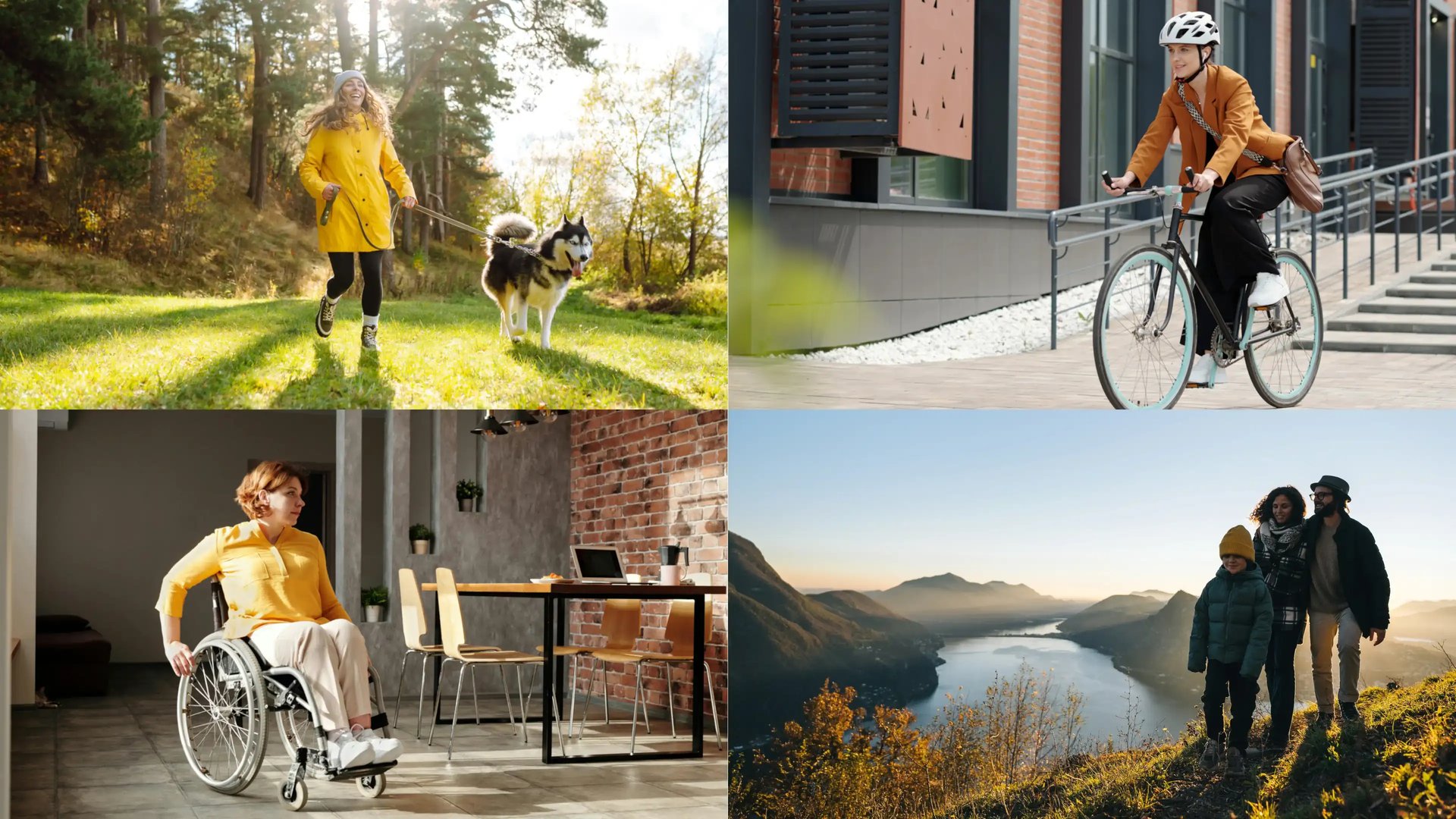 FirmentfitnessIsBroken_right